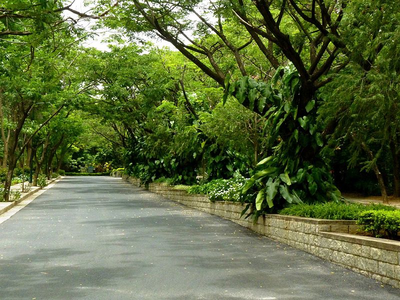 Indian Institute of Management Bangalore Gallery Photo 1 